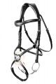 HENRY JAMES- MEXICAN GRACKLE BRIDLE